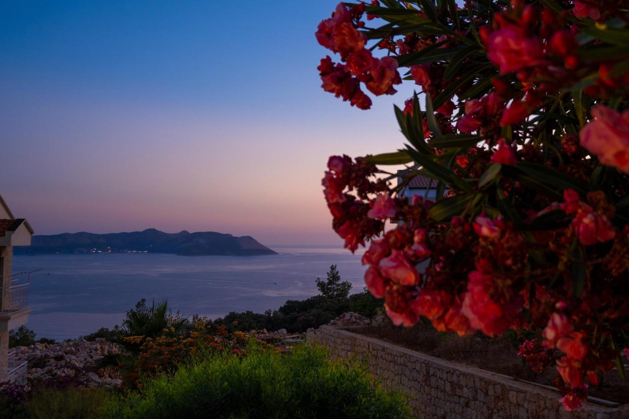 White Garden Villas Kaş Eksteriør billede